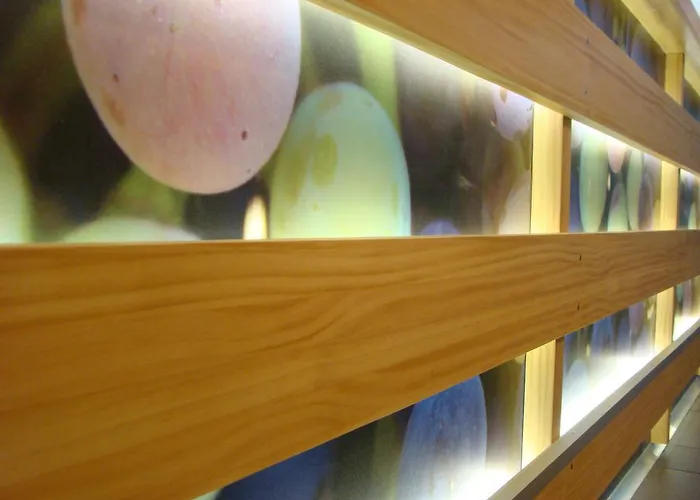 フォーラム エヴォルシオン