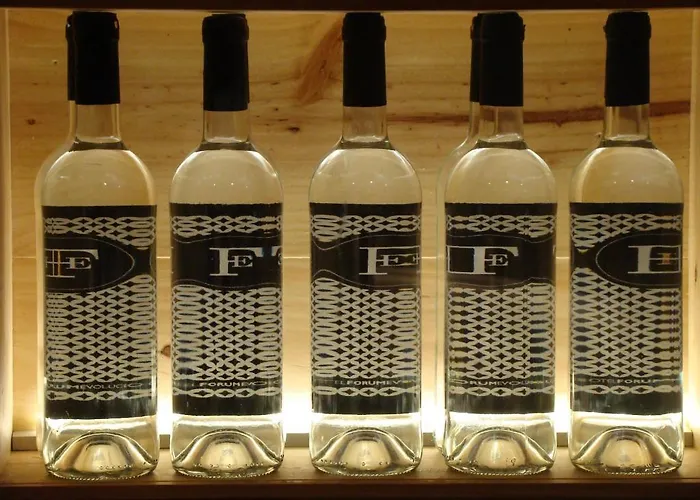 フォーラム エヴォルシオン ホテル Burgo