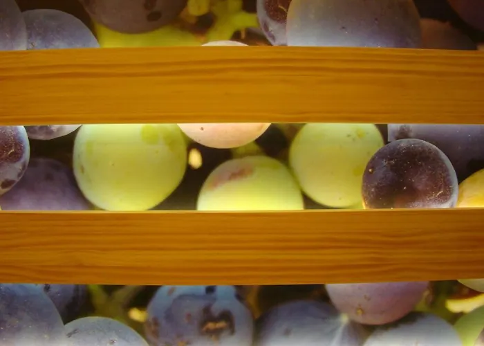 Forum Evolucion 3* Burgo